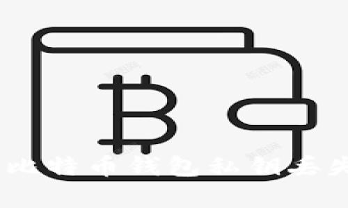 无法找回的财富：比特币钱包私钥丢失后的对策与思考